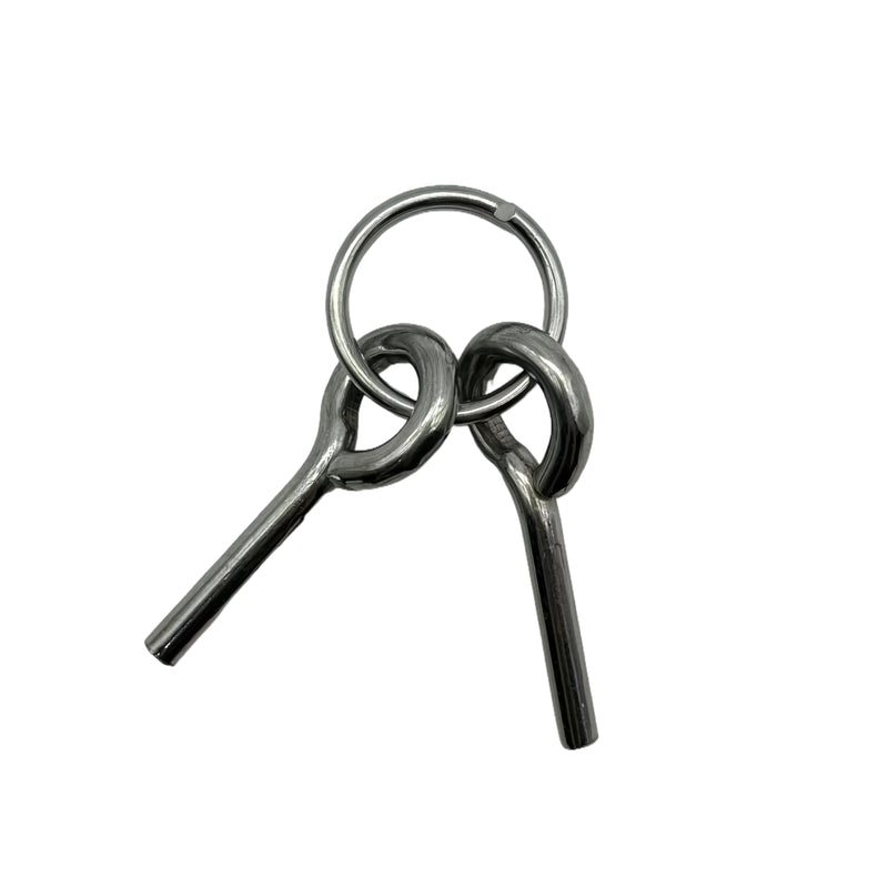 Load image into Gallery viewer, Bush Tracks Double Ring &amp; Pin Set (2 Pack) Silver
